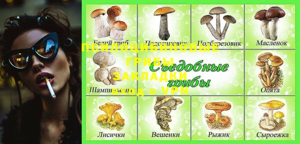 стаф Беломорск